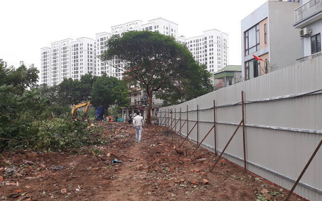 Hà Nội: Hoàn tất giải phóng mặt bằng, chuẩn bị xây dựng dự án nhà ở xã hội Thượng Thanh
