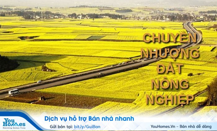 Cập nhật mẫu giấy chuyển nhượng đất nông nghiệp viết tay đúng theo quy định