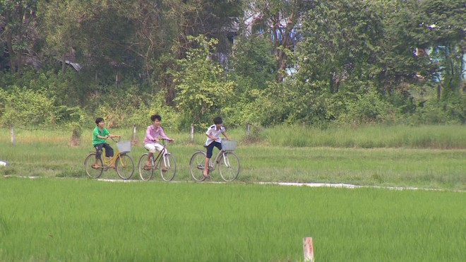 TP.Hồ Chí Minh: Chủ trương cho xây dựng nhà tạm trên đất nông nghiệp