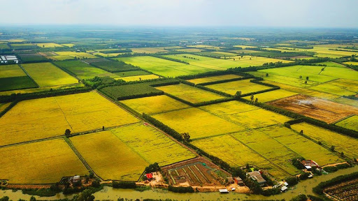 Nghị định khuyến khích tập trung, tích tụ đất đai cho SXNN: Dự kiến ban hành trong 2020