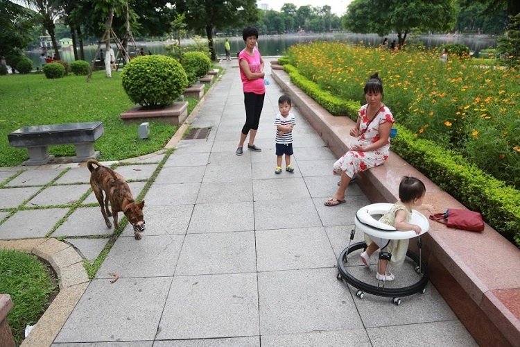 Những lưu ý khi nuôi chó, mèo tại các căn hộ chung cư