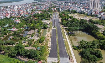 Chuyên gia