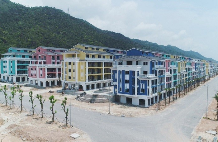 CEO Group báo lỗ lần đầu tiên kể từ năm 2014