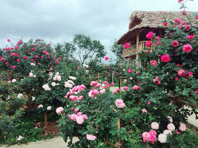 Gợi ý những điểm đến an yên cùng người ấy đón Valentine ngọt ngào