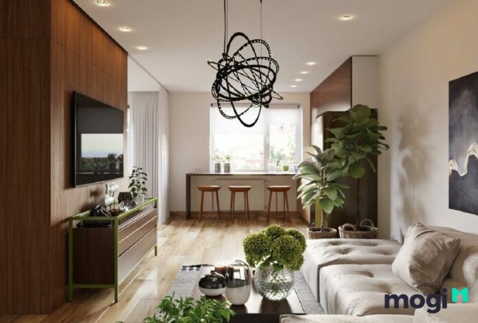 Căn hộ studio là gì? Chi tiết các điểm cần biết