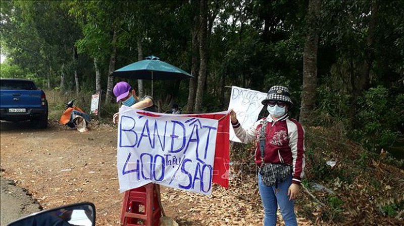 Các chuyên gia cảnh báo hiện tượng "sốt" đất nền tại nhiều vùng quê