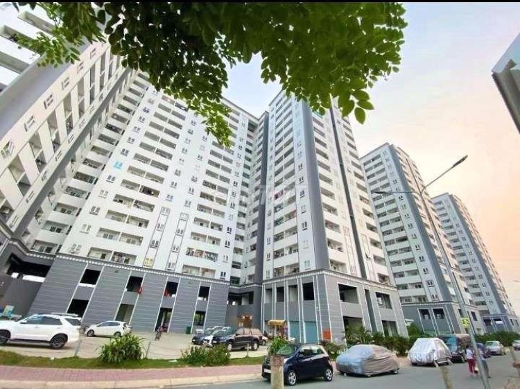 Thông tin tổng quan về quy mô và tình trạng bàn giao căn hộ chung cư Quận 8