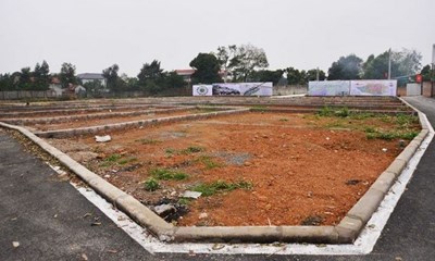 Đất nền duy trì vị trí dẫn đầu thị trường BĐS năm 2021
