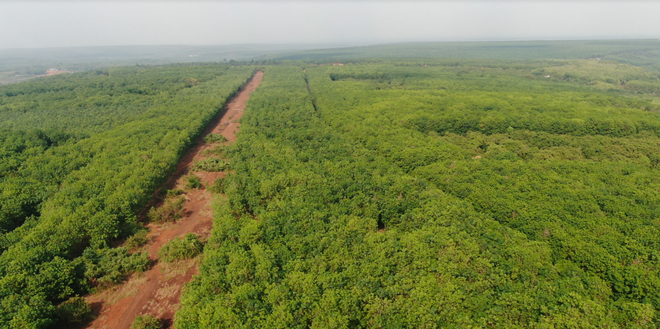 "Sốt đất" sân bay Técníc - Nhanh đến, nhanh đi