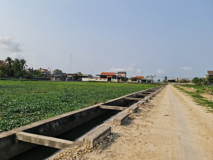 Nghệ An: Vì sao huyện Quỳnh Lưu ra văn bản dừng ngay việc tổ chức đấu giá 23 lô đất?