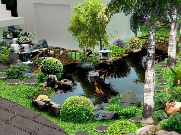Hướng dẫn xây hồ cá xi măng, bể cả mini ngoài trời làm đẹp sân vườn