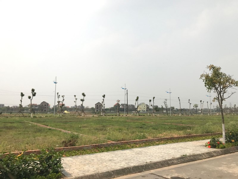 Dùng công cụ thuế đặc trị "sốt đất"