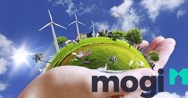 Quy định hiện hành về quản lý đất đai và tầm quan trọng của nó
