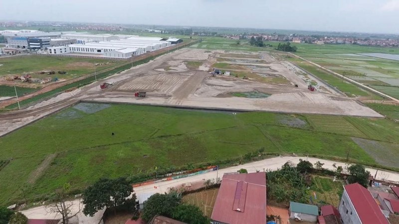 Cần "mạnh tay" để đưa hoạt động bán "lúa non" vào khuôn khổ