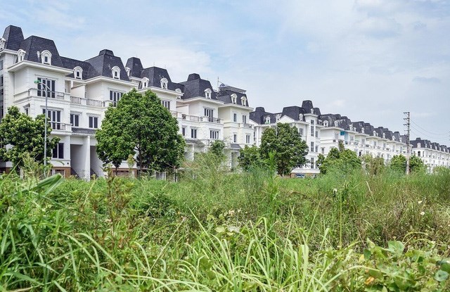 Giải pháp nào cho việc xử lý biệt thự bỏ hoang?