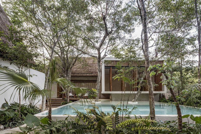 Jungle Keva: Khu khách sạn cao cấp trong rừng với thảm thực vật phong phú