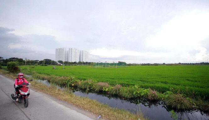 TPHCM: Thực hiện điều chỉnh giá đất nông nghiệp chỉ sau 1 tháng