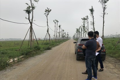 Thị trường nhà đất dịu đi cơn sốt