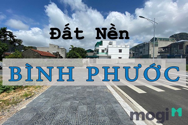 Lựa chọn đầu tư như thế nào với thị trường đất nền Bình Phước?