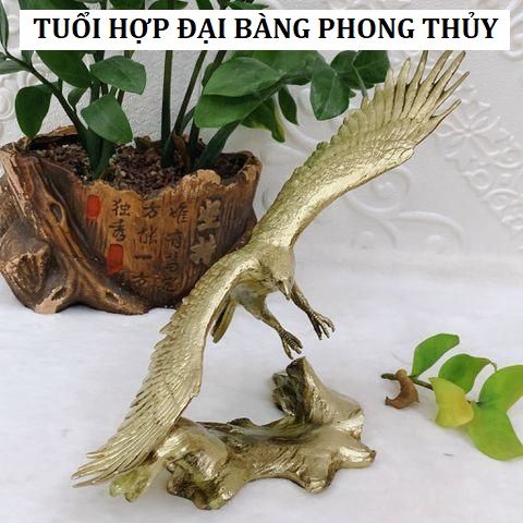 Cách đặt vị trí đại bàng phong thủy đúng cách để thúc đẩy sự nghiệp