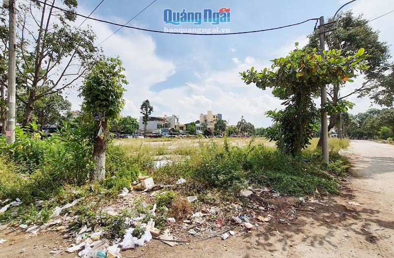 Hướng xử lý nào cho dự án Khu tái định cư ở TP. Quảng Ngãi bị bỏ hoang?