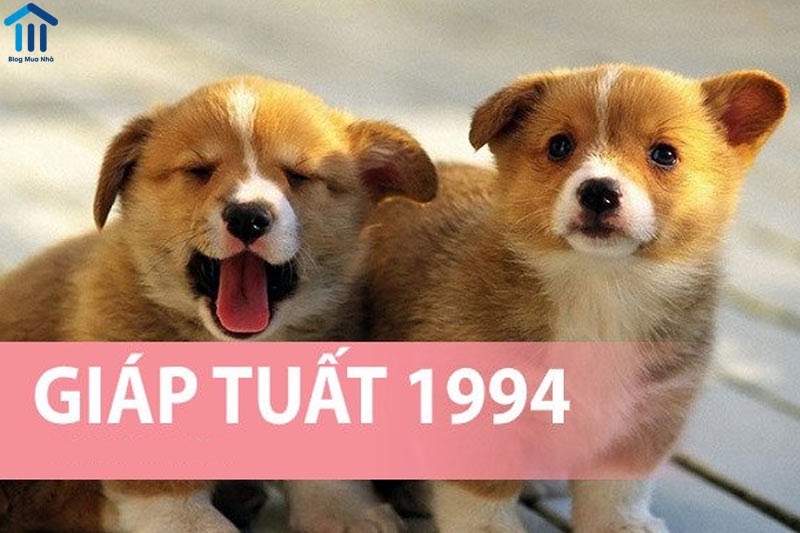 Chọn hướng nhà hợp phong thủy tuổi Giáp Tuất sinh năm 1994
