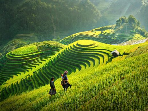 Sơn La sẽ có Khu bảo tồn hệ sinh thái nông nghiệp hơn 1.500ha tại Mộc Châu