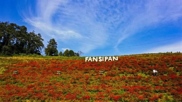 Ấp ủ vô số trải nghiệm bất ngờ, nhiều điểm đến rục rịch tái xuất