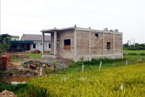 Xây nhà trên đất nông nghiệp bị phạt bao nhiêu? Quy định, thông tin liên quan