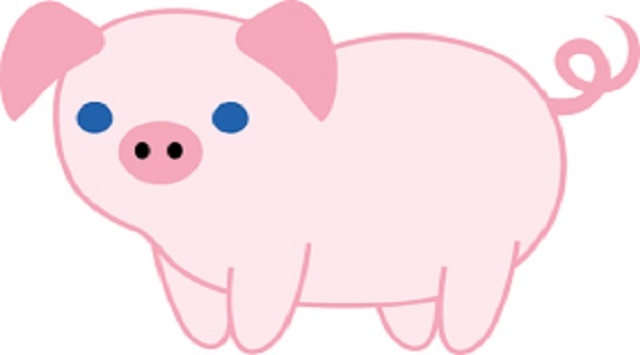 Góc tư vấn: Nam nữ sinh năm 2019 mệnh gì, tuổi con gì?
