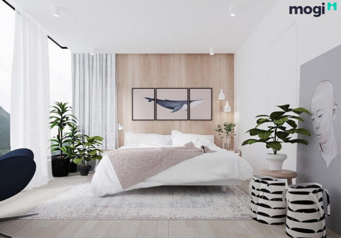 Các loại cây trồng trong phòng ngủ tốt cho sức khỏe