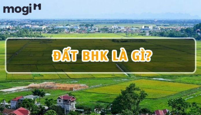 Đất BHK là gì? Các quy định sử dụng đất BHK mới nhất hiện nay