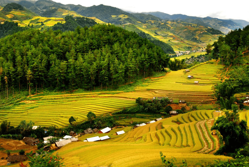IDJ đầu tư Siêu dự án nghỉ dưỡng Kim Bôi 485ha, nâng tổng quỹ đất phát triển lên 885 ha