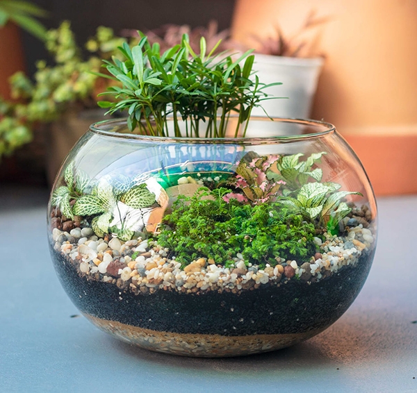 Hướng dẫn trang trí tiểu cảnh sân vườn