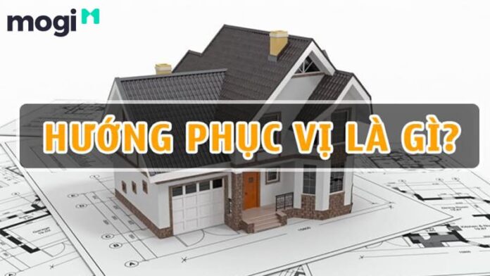Phục Vị Là Gì? Cách Xác Định Và Ý Nghĩa Hướng Của Phục Vị