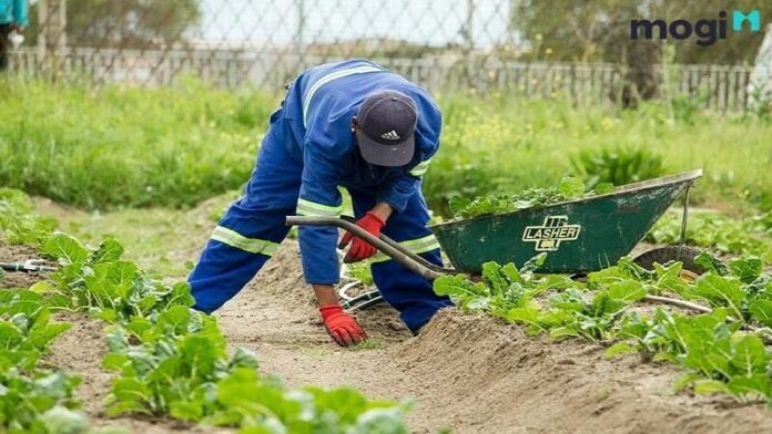 Farmstay là gì? Đầu tư Farmstay như thế nào để thu lợi nhuận nhanh nhất?