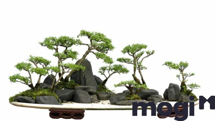 Hòn non bộ mini – những điều không thể bỏ qua khi trang trí nhà ở