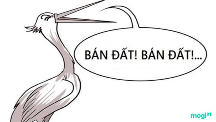 Cò đất là gì ? Cần có những kỹ năng gì để trở thành cò đất thành công?