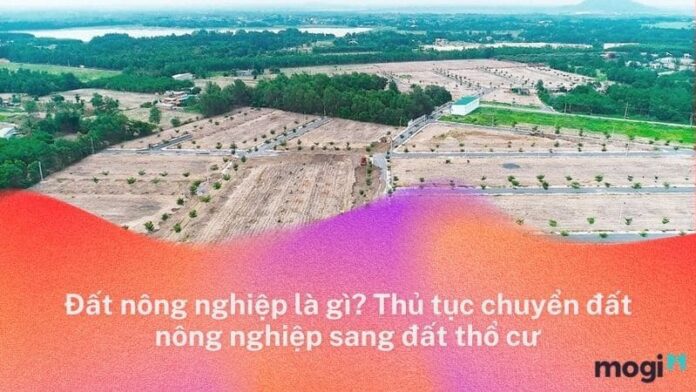Đất nông nghiệp là gì? Có thể chuyển thành đất để ở không? Thủ tục, chi phí chuyển sang thổ cư?