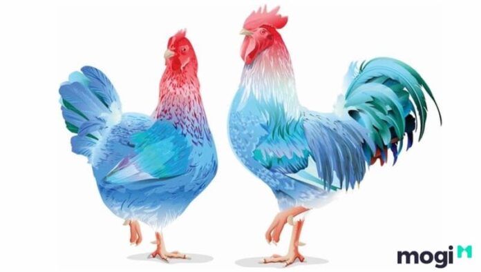 Tuổi Tân Dậu Hợp Hướng Nào Để Xây Nhà, Làm Việc