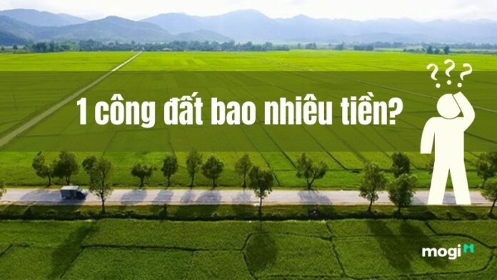 1 công đất bao nhiêu tiền? 1 công đất vườn/ ruộng giá bao nhiêu?