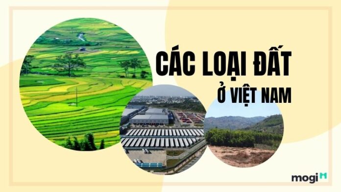 Các loại đất ở Việt Nam – Cách phân biệt loại đất