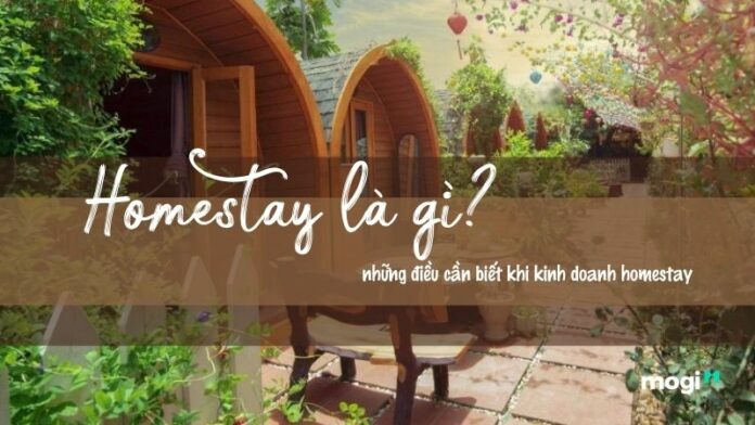 Homestay là gì? Kinh nghiệm kinh doanh homestay hiệu quả