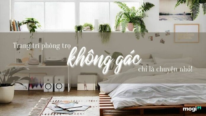Decor phòng trọ không gác và 6 gợi ý giúp bạn tối ưu hóa không gian sống!