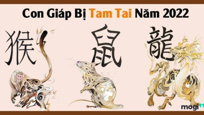 3 con giáp gặp hạn tam tai 2022 và một số cách hóa giải