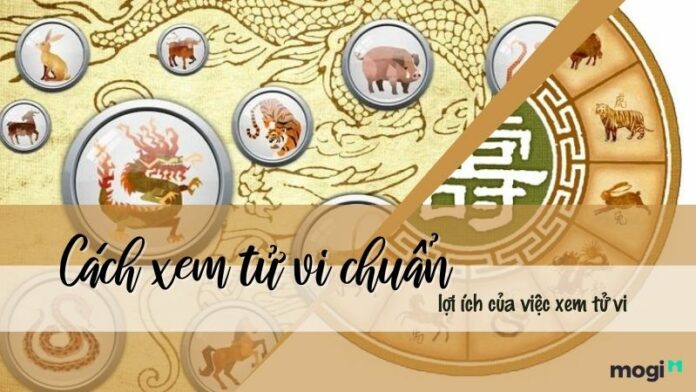 Cách xem tử vi chuẩn xác nhất – Lợi ích của việc xem tử vi bạn cần biết