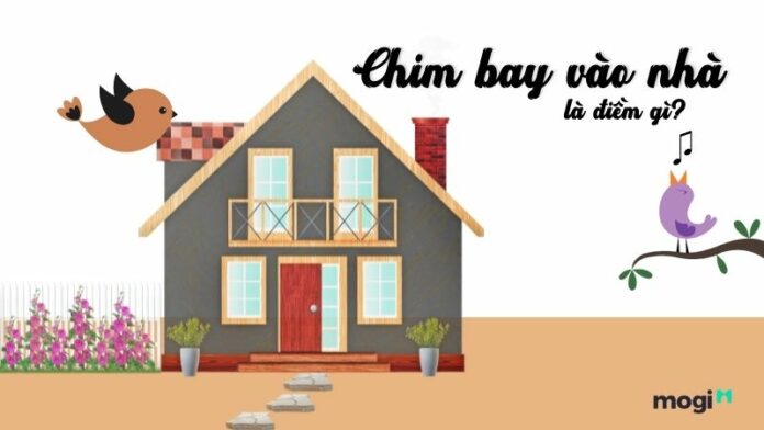 Chim bay vào nhà là điềm gì? Hung hay cát?