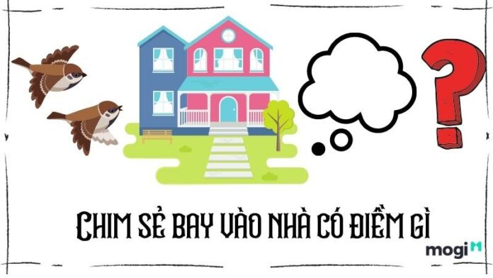 Chim sẻ bay vào nhà là điềm gì? Giải mã điềm báo ý nghĩa phong thủy