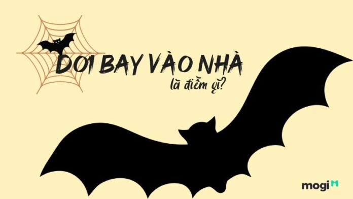 Dơi bay vào nhà là điềm gì? Tốt hay xấu?