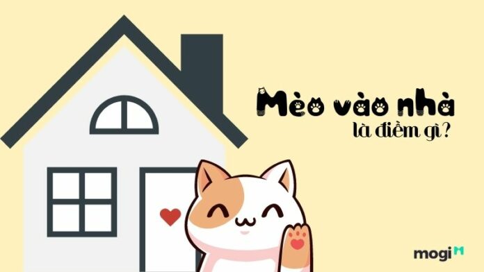 Mèo vào nhà là điềm gì? Hên hay xui? Nên đuổi đi hay không?
